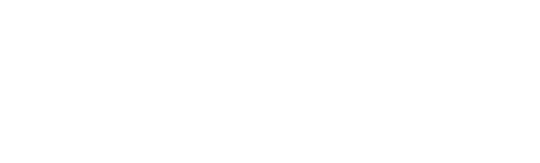 Default logo for confidential partners
